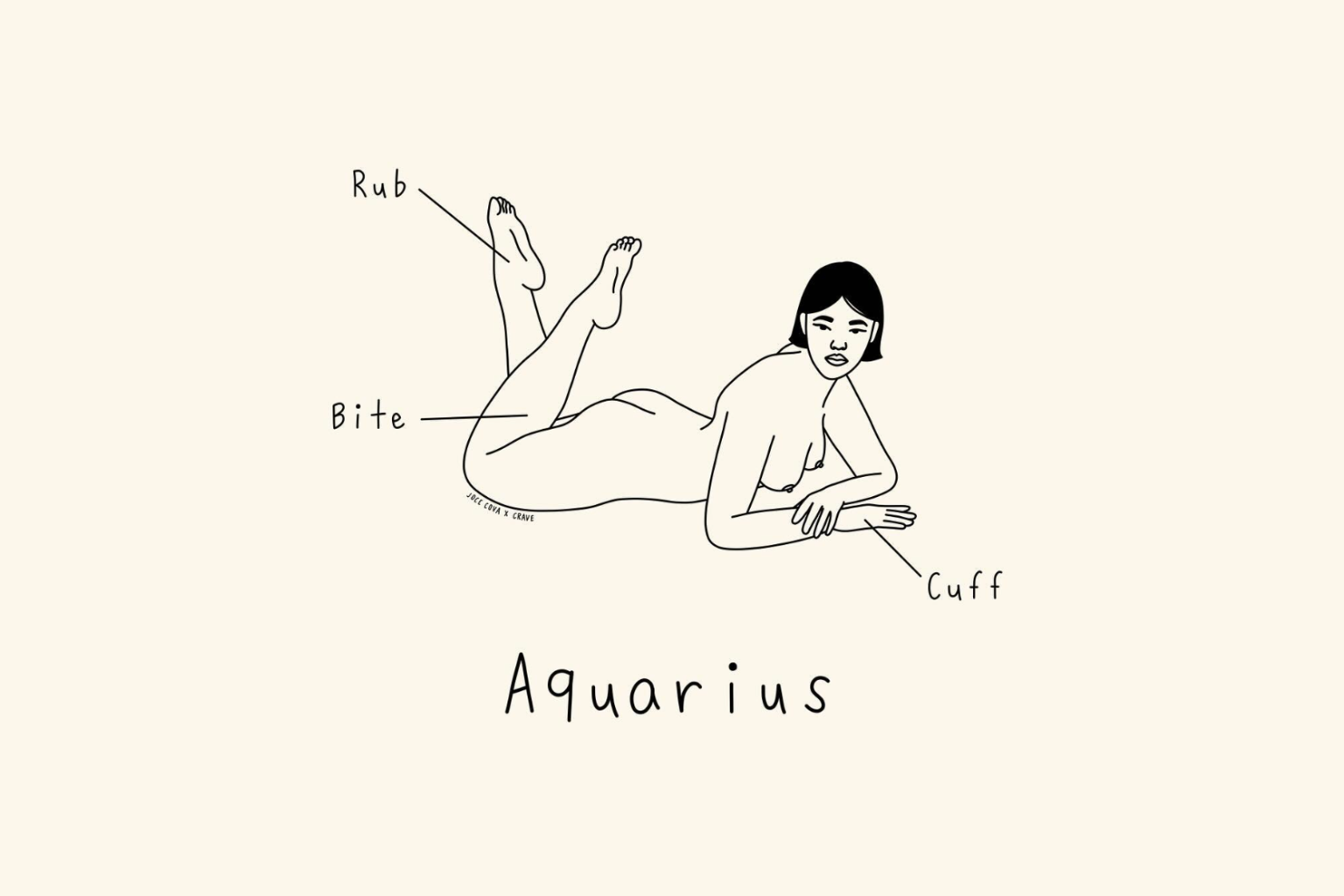 Aquarius Pleasure Map