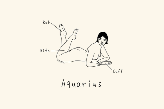 Aquarius Pleasure Map