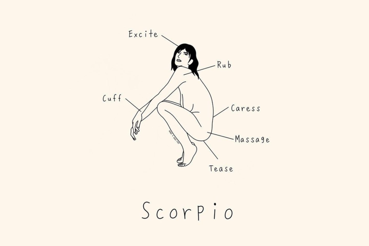 Scorpio Pleasure Map